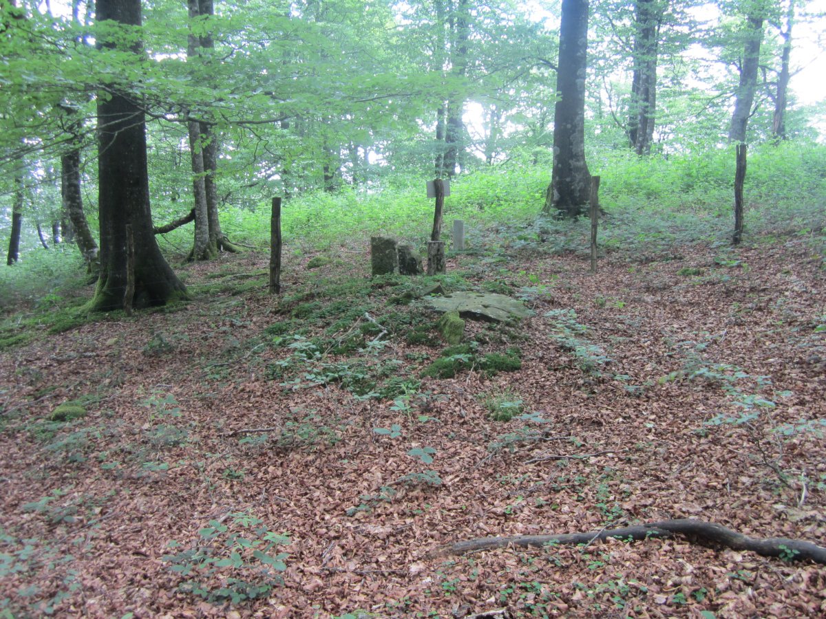 Dólmen Muñaan  (Junio 2014)