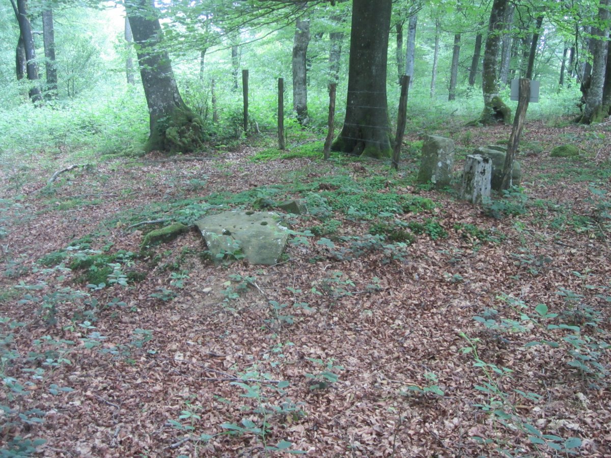 Dólmen Muñaan  (Junio 2014)