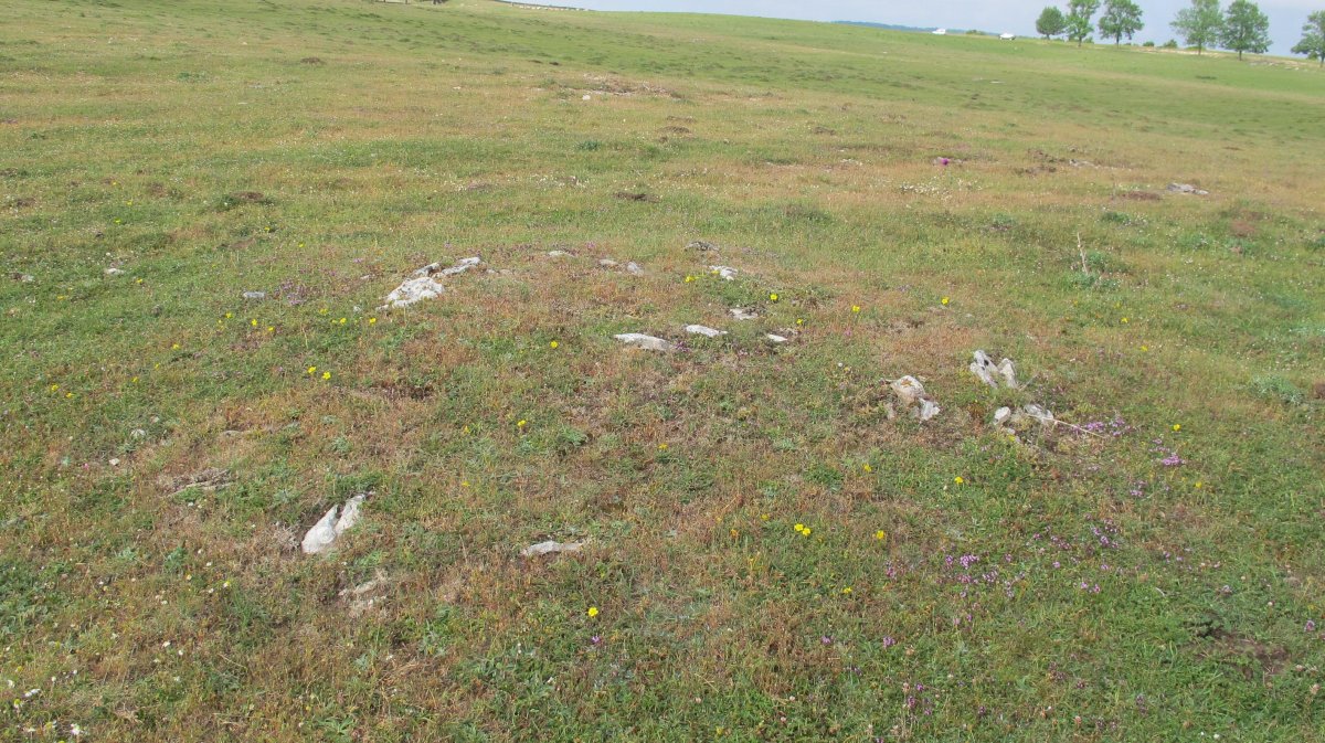 Raso Urbasa (planos) tumulu 1, Urbasa