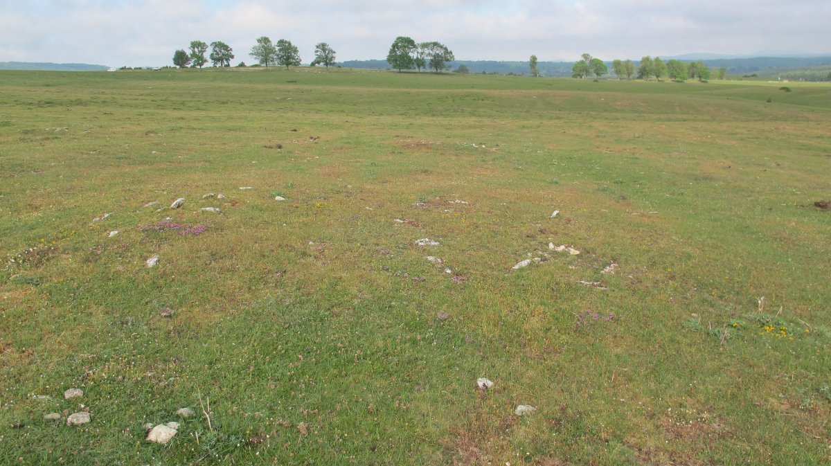 Raso Urbasa (planos) tumulu 4, Urbasa