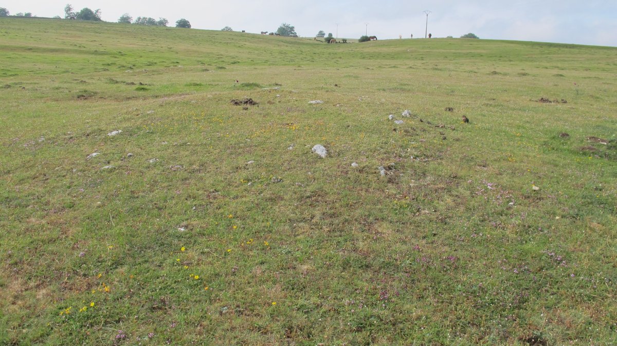 Raso Urbasa (planos) tumulu 5, Urbasa