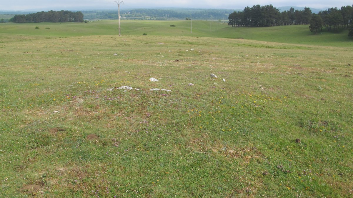 Raso Urbasa (planos) tumulu 6, Urbasa