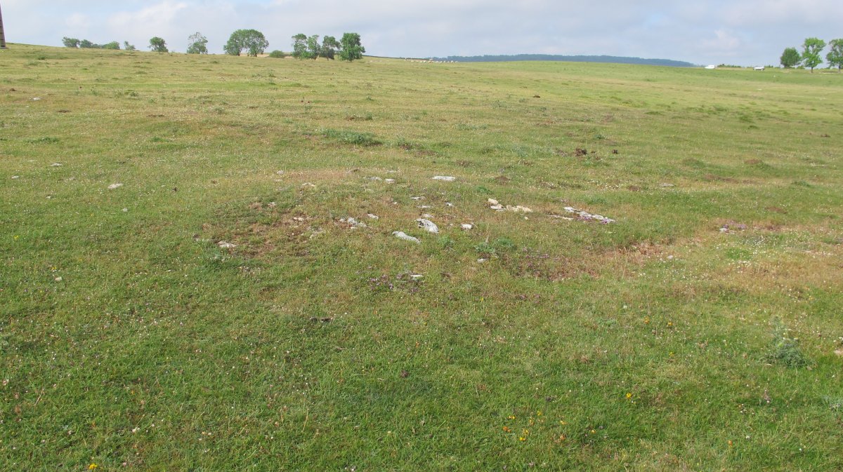 Raso Urbasa (planos) tumulu 7, Urbasa