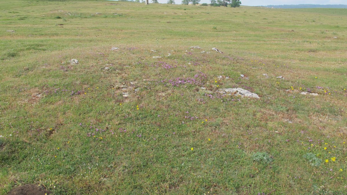 Raso Urbasa (planos) tumulu 8, Urbasa