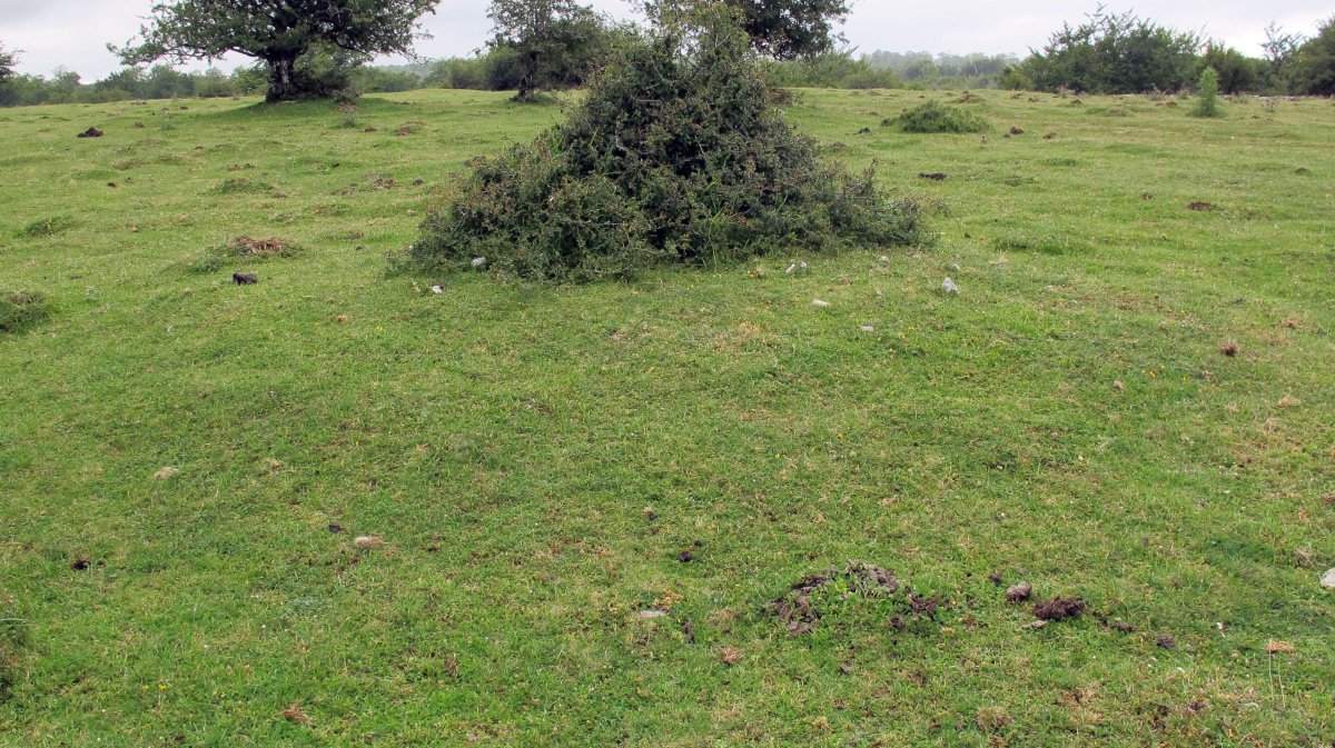 Pedrotxiki hego tumulu 1, Urbasa