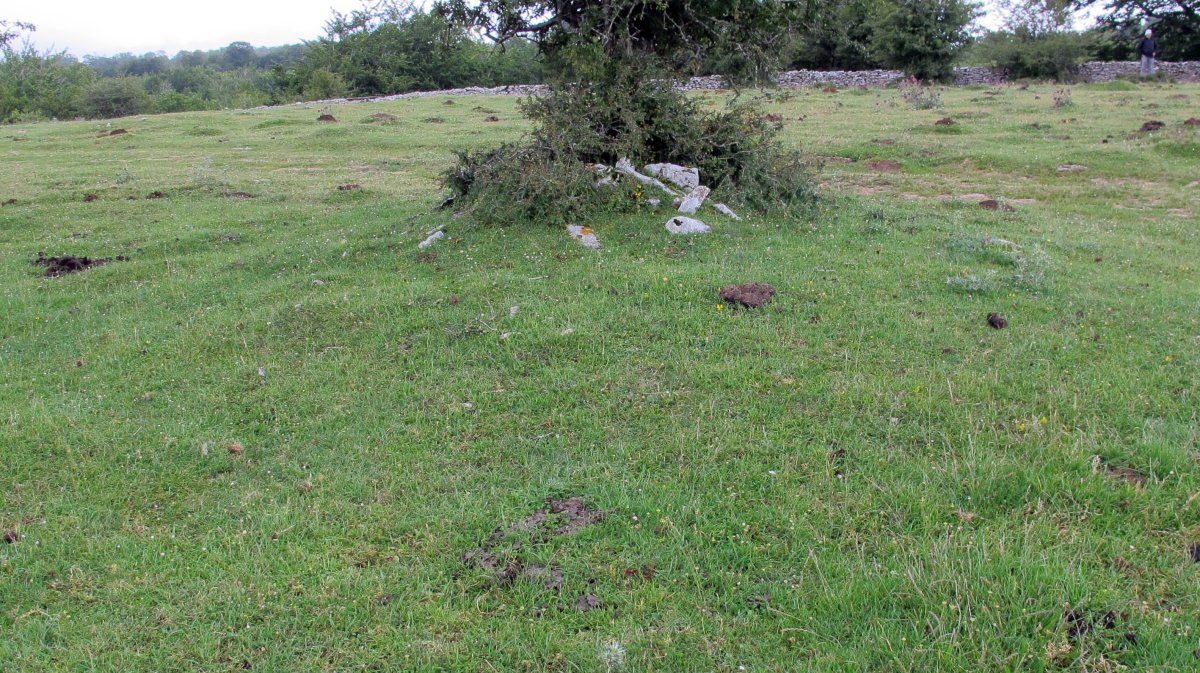 Pedrotxiki hego tumulu 3, Urbasa