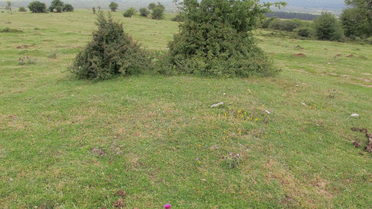 Pedrotxiki hego tumulu 4, Urbasa