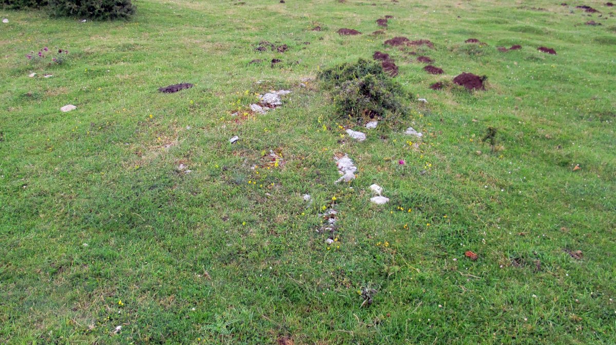 Pedrotxiki hego tumulu 5, Urbasa