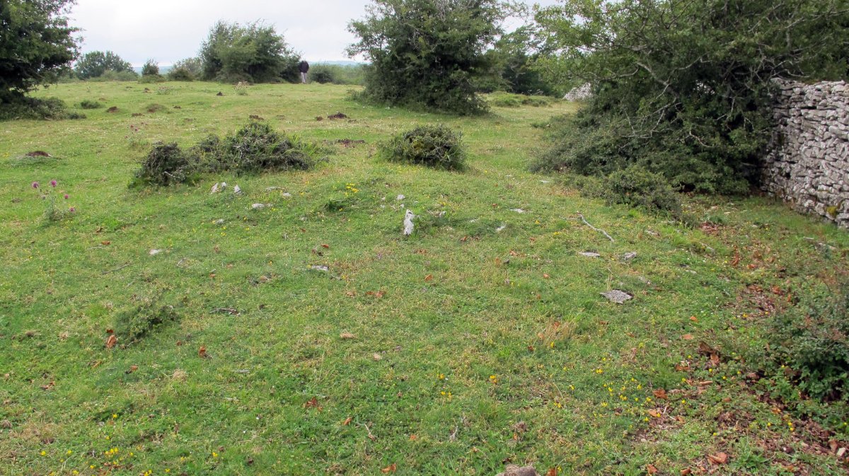 Pedrotxiki hego tumulu 6, Urbasa