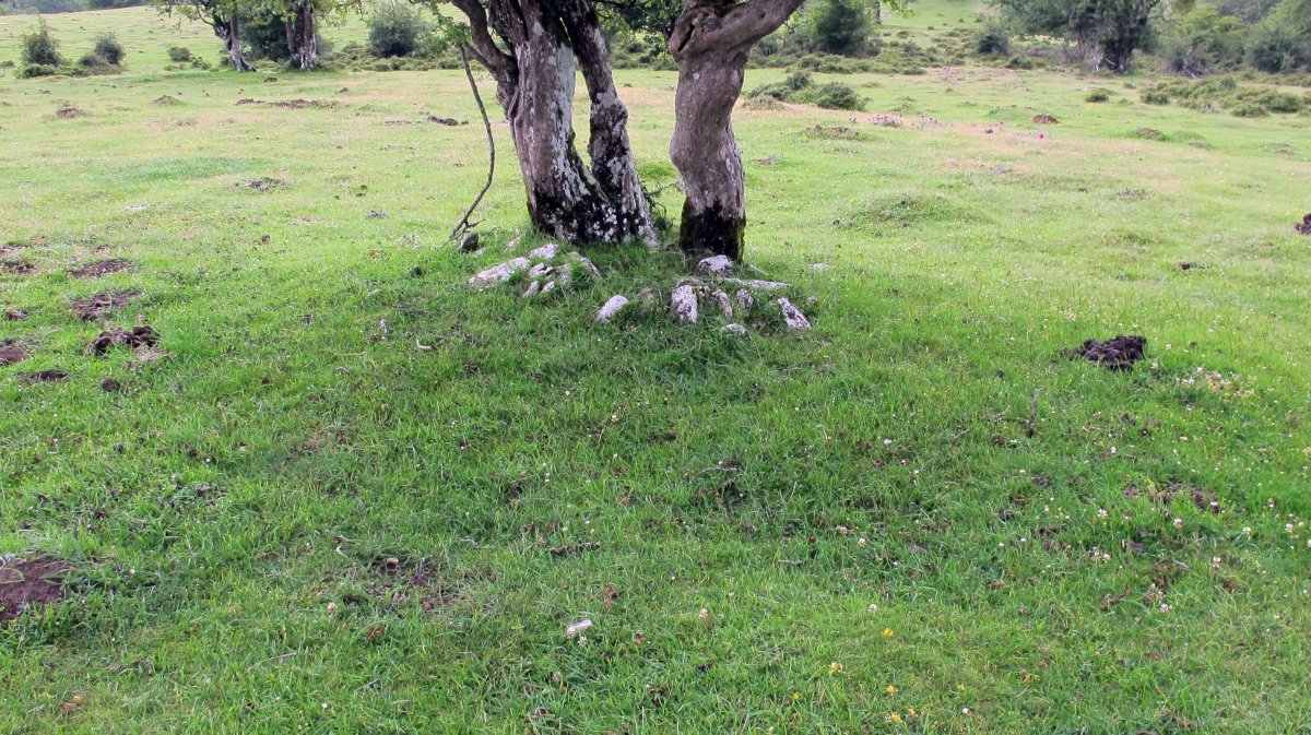 Pedrotxiki ipar tumulu 2, Urbasa