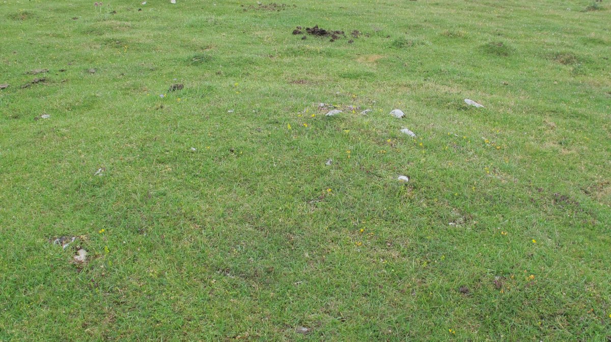 Pedrotxiki ipar tumulu 4, Urbasa