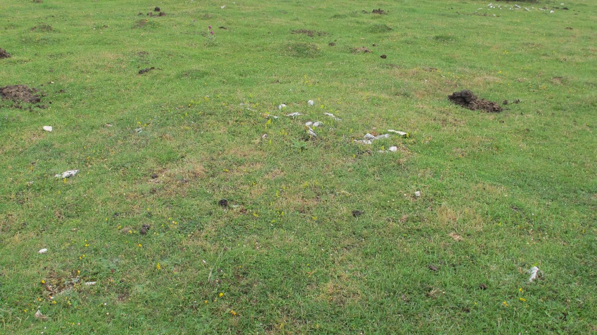 Pedrotxiki ipar tumulu 7, Urbasa