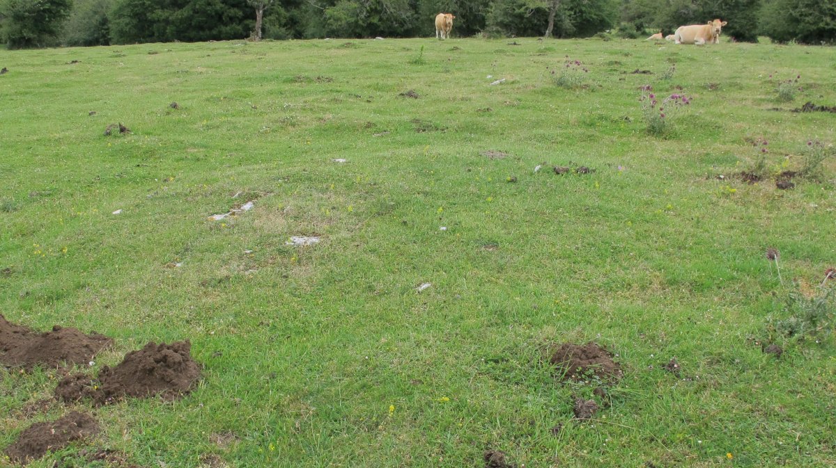 Pedrotxiki ipar tumulu 11, Urbasa