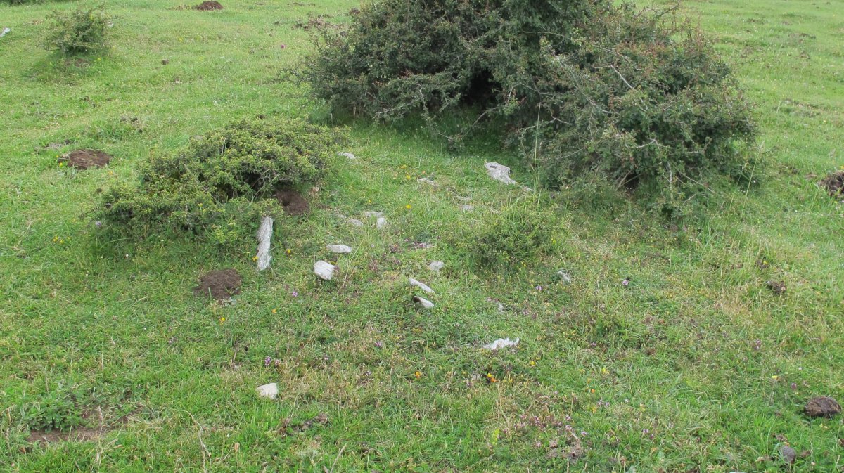 Pedrotxiki ipar tumulu 12, Urbasa