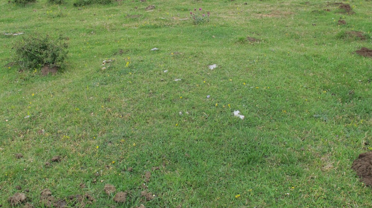 Pedrotxiki ipar tumulu 14, Urbasa