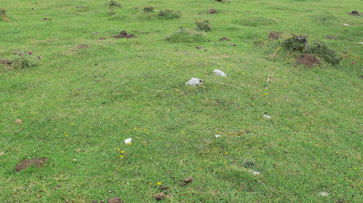 Pedrotxiki ipar tumulu 15, Urbasa