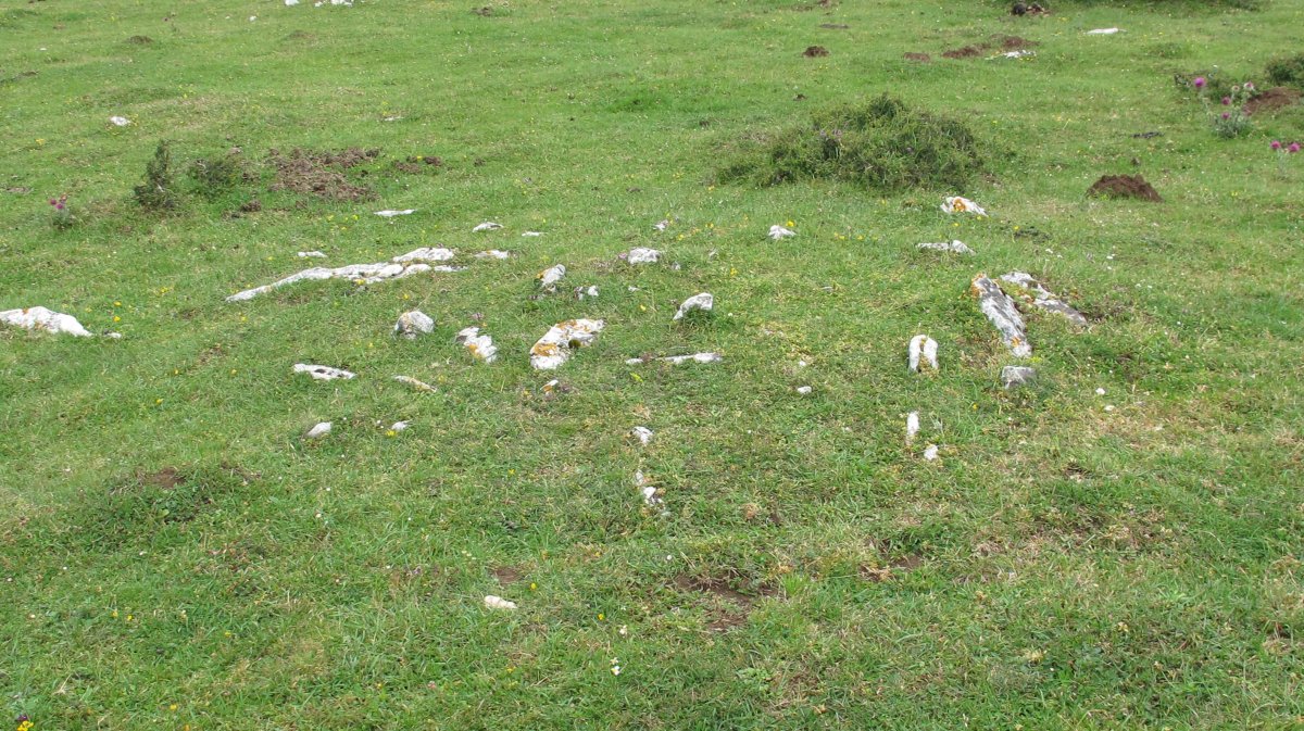 Pedrotxiki ipar tumulu 16, Urbasa