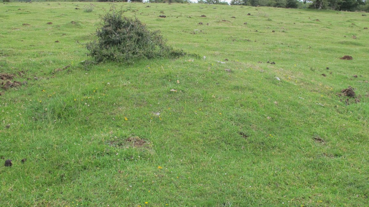 Pedrotxiki ipar tumulu 17, Urbasa