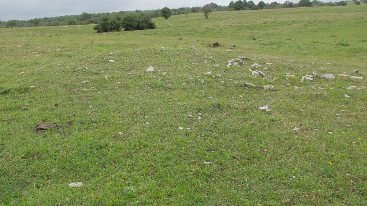 Camino de Arratondo ipar tumulu 1, Urbasa