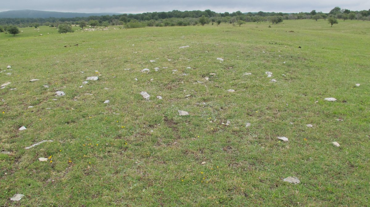 Camino de Arratondo ipar tumulu 2, Urbasa