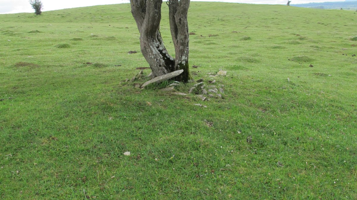 Camino de Arratondo ipar tumulu 4, Urbasa