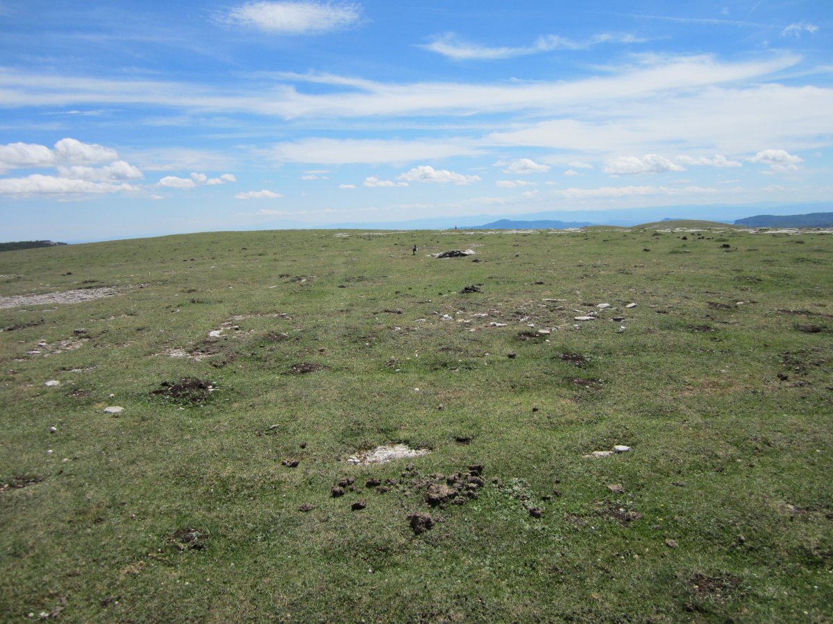 Anilo Tumular Malkaxko 2 Ipar (Julio 2014)