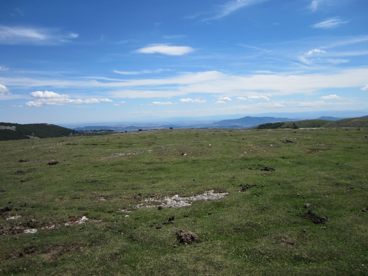 Anilo Tumular Malkaxko 1 Hego  (Julio  2014)