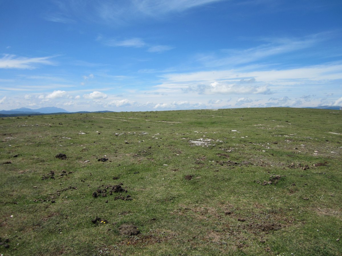 Anilo Tumular Malkaxko 1 Hego (Julio 2014)