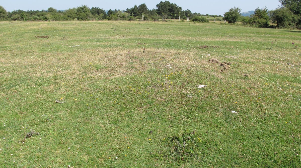 Andasarri 1 tumulua, Limitaciones