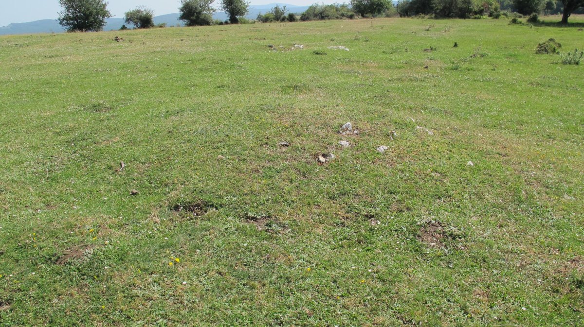 Andasarri 3 tumulua, Limitaciones