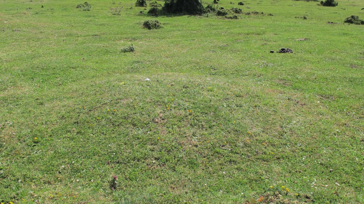 Andasarri 5 tumulua, Limitaciones