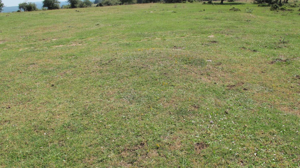 Andasarri 6 tumulua, Limitaciones