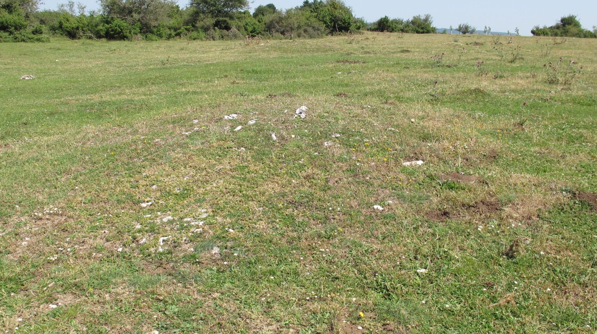 Andasarri 9 tumulua, Limitaciones