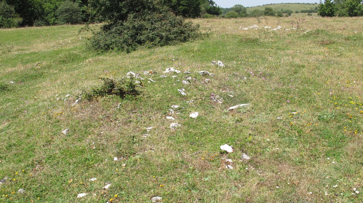 Corral de los Iriarte 2 tumulua, Limitaciones