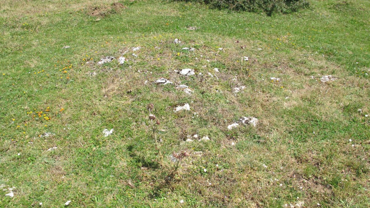 Corral de los Iriarte 3 tumulua, Limitaciones