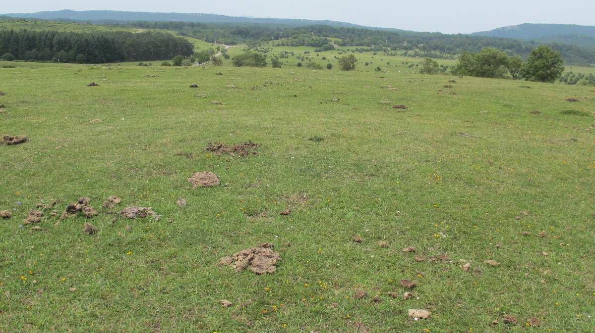 Alto de Errekasanta 1 tumulua, Urbasa