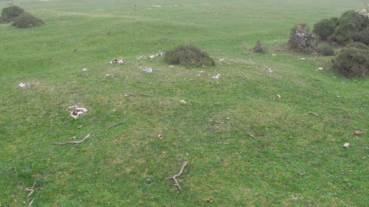 Arantzaduia 2 etxola hondoa, Limitaciones