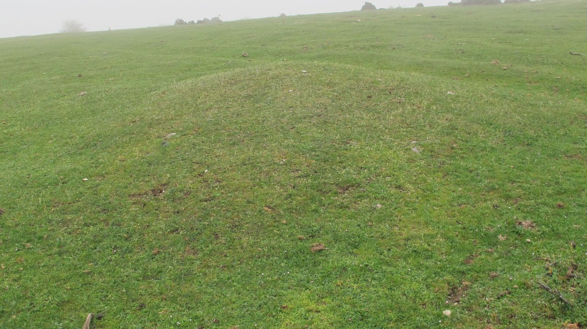 Arantzaduia 4 etxola hondoa, Limitaciones