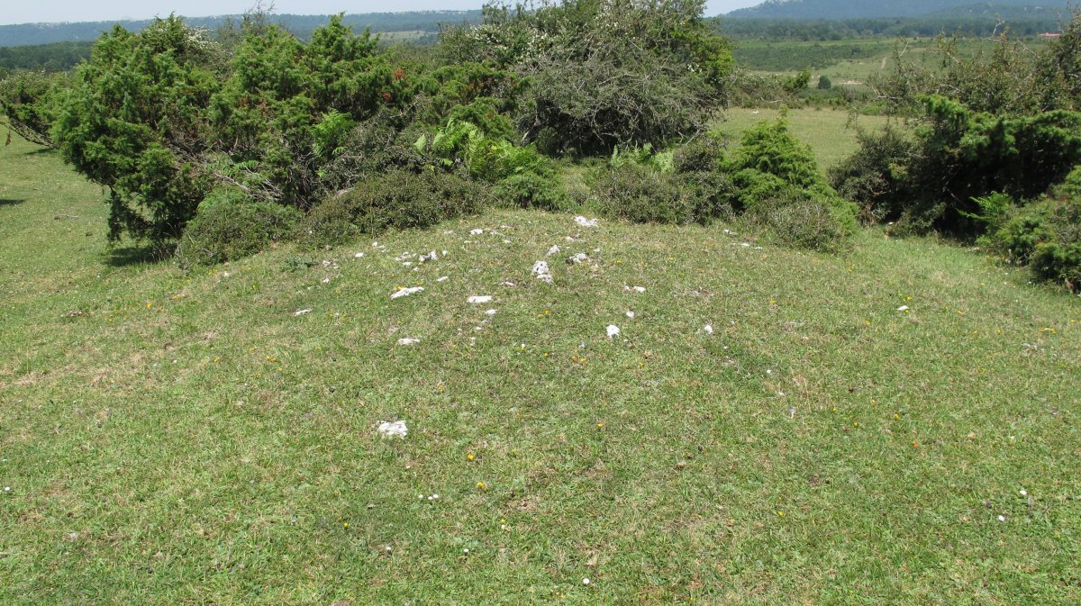 Txintxaleze 1 ekialde tumulua, Urbasa