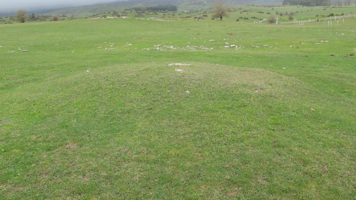 Majadas de Allo tumulua, Limitaciones