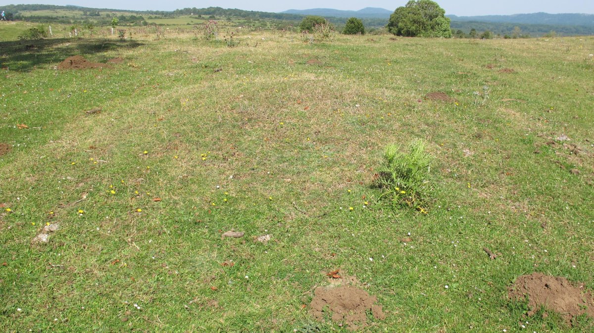 Corrales de Zudaire tumulua, Limitaciones