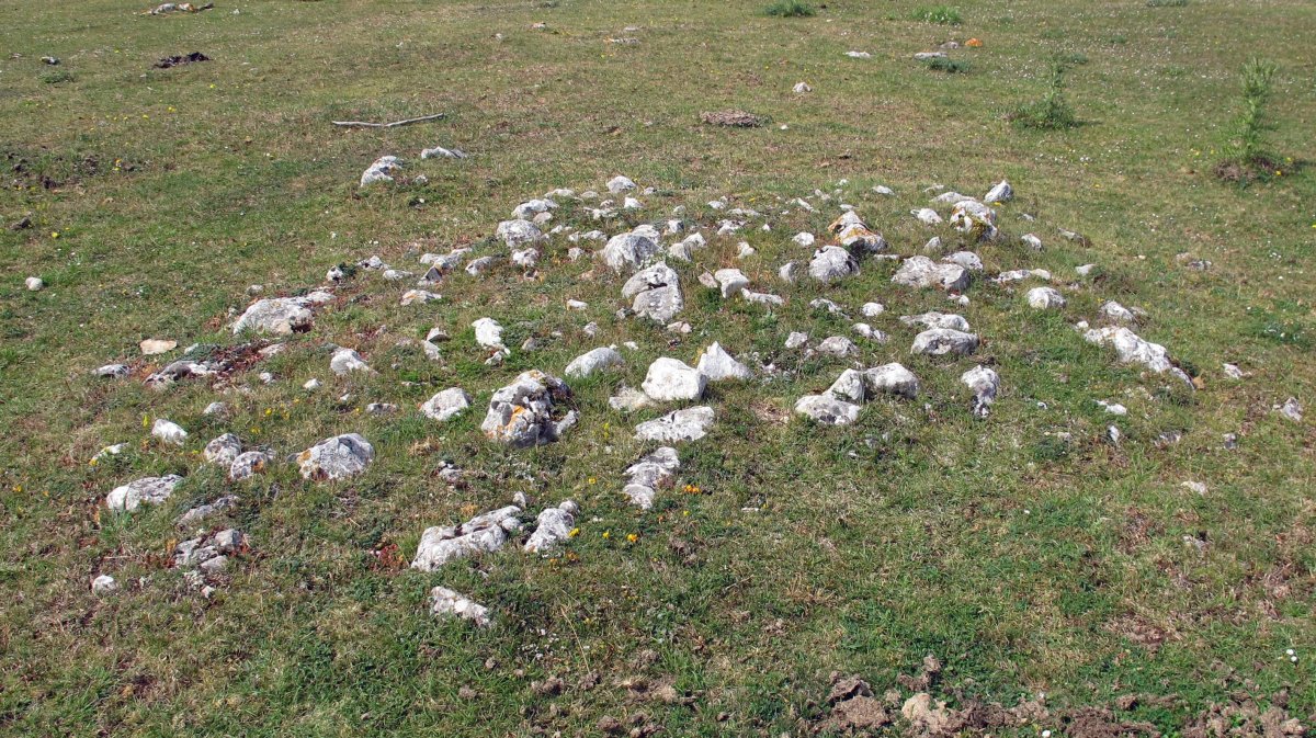 Mendiluze 1 tumulua, Entzia