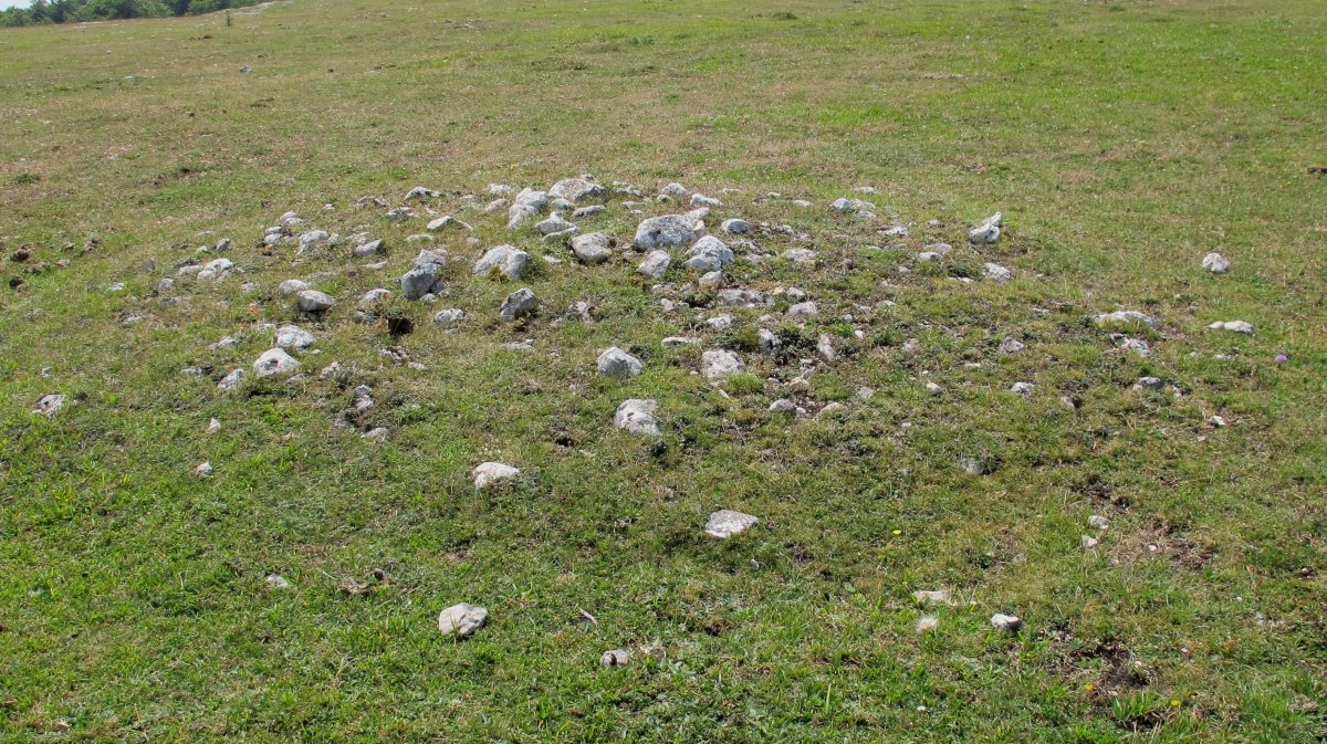 Atau 2 tumulua, Entzia