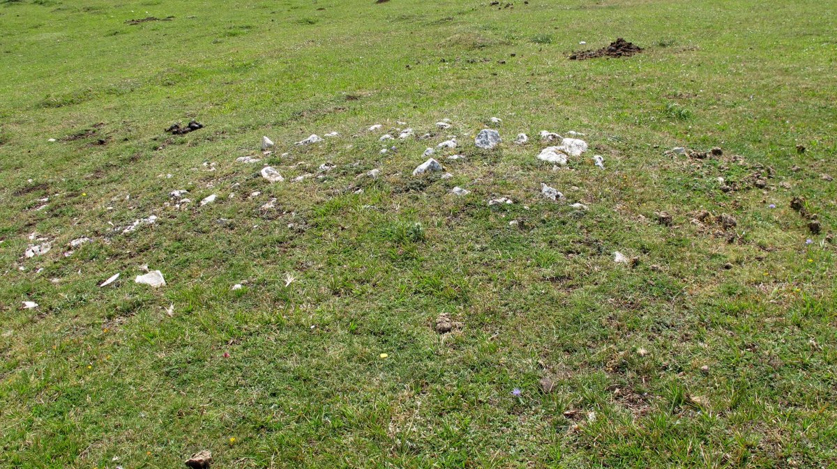 Atau 3 tumulua, Entzia