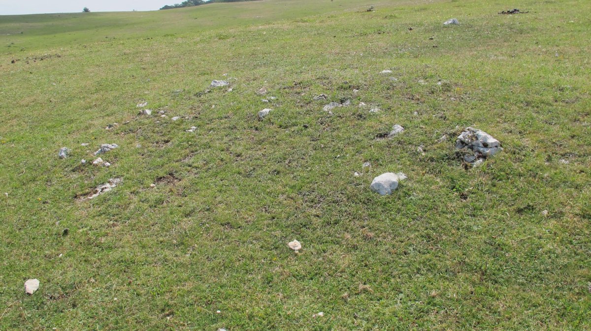 Atauko Mendatea 1 tumulua, Entzia