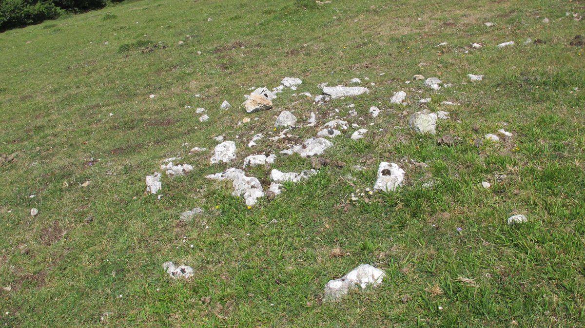 Atauko Mendatea 2 tumulua, Entzia