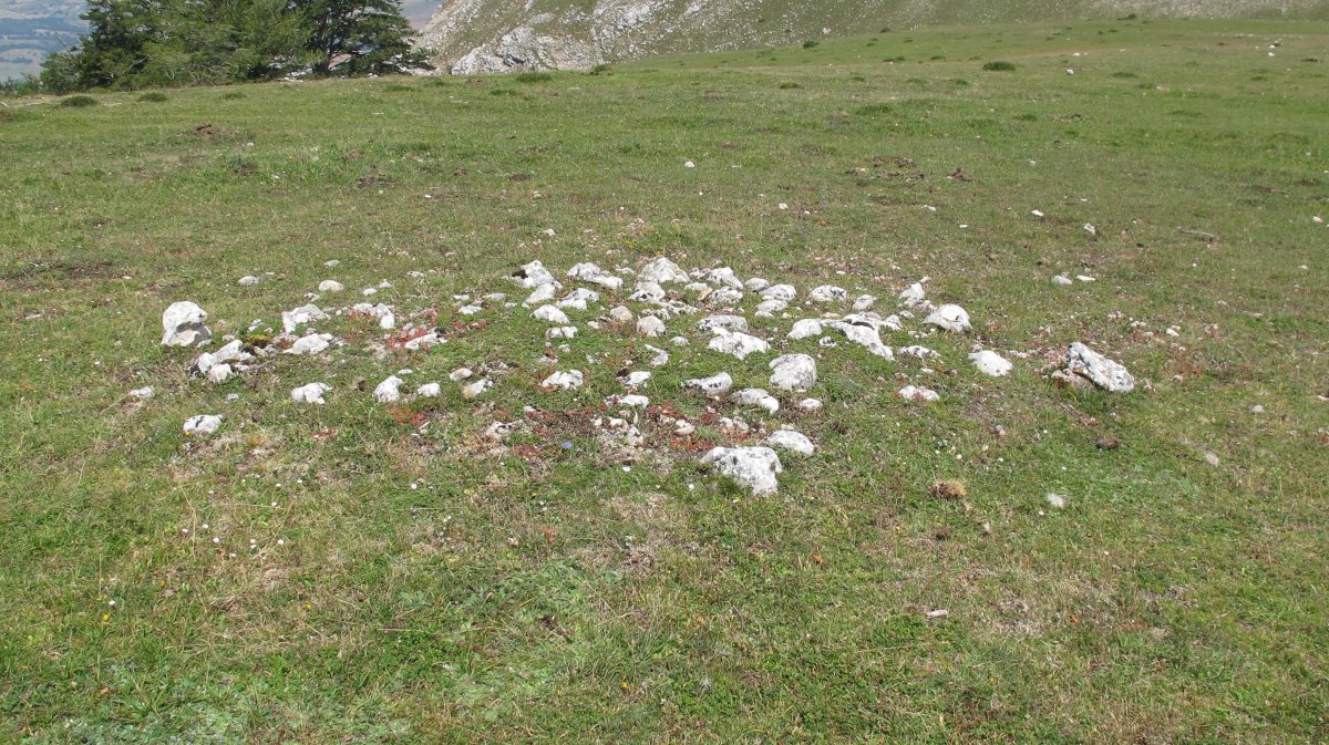 Atauko Mendatea 5 tumulua, Entzia