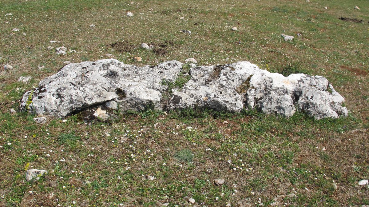 Legaire 5 Sur zutarria, Entzia