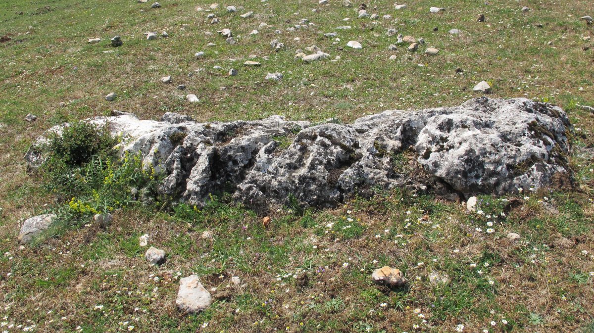 Legaire 5 Sur zutarria, Entzia