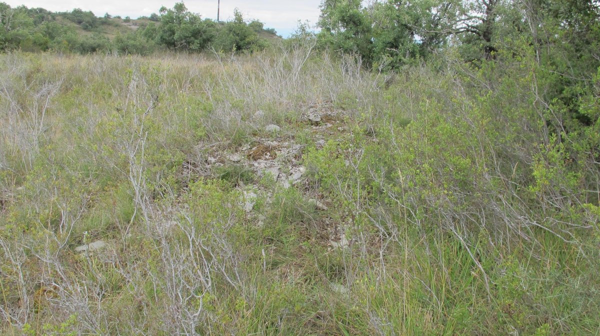 Larras II tumulua 11, Zigoitia